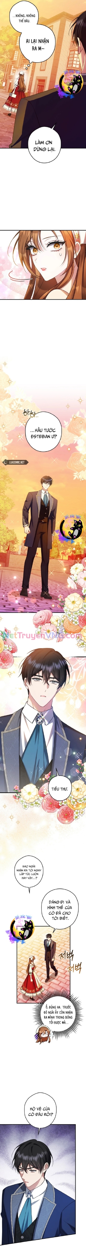 Công Nương Sinh Ra Để Sống Một Mình Chap 21 - Next Chap 22