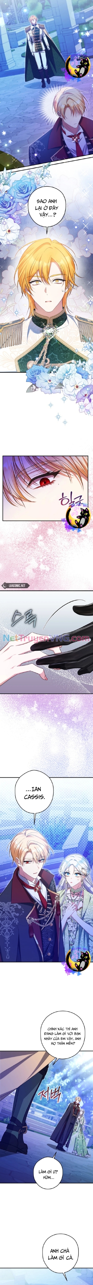 Công Nương Sinh Ra Để Sống Một Mình Chap 21 - Next Chap 22