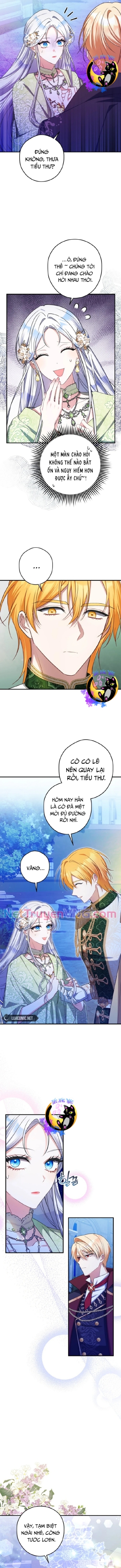 Công Nương Sinh Ra Để Sống Một Mình Chap 21 - Next Chap 22