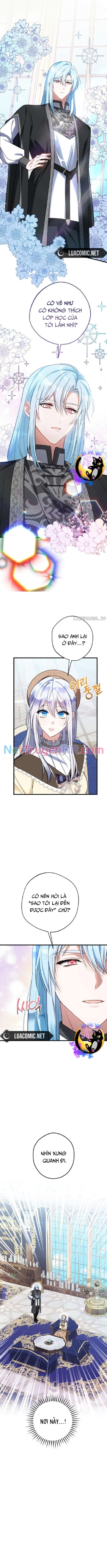 Công Nương Sinh Ra Để Sống Một Mình Chap 9 - Next Chap 10