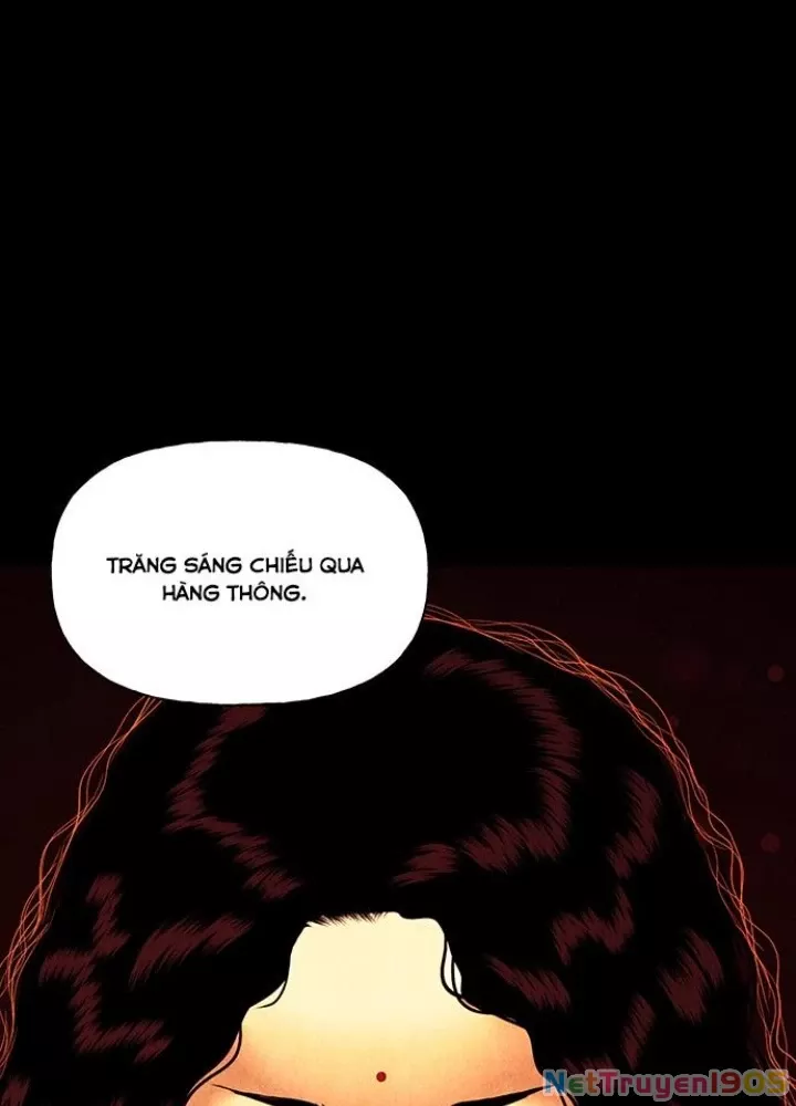 Cửa Hàng Đồ Cổ Tương Lai Chap 51 - Next Chap 52