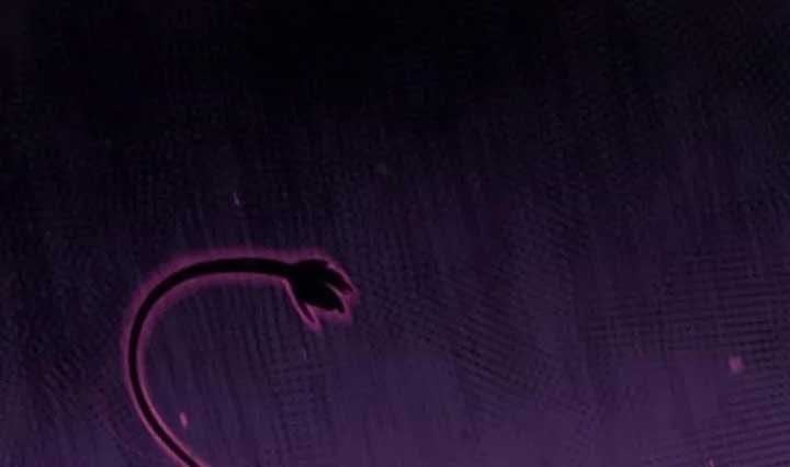 Cuộc Sống Học Đường Của Đội Trưởng Quận Chap 20 - Next Chap 21