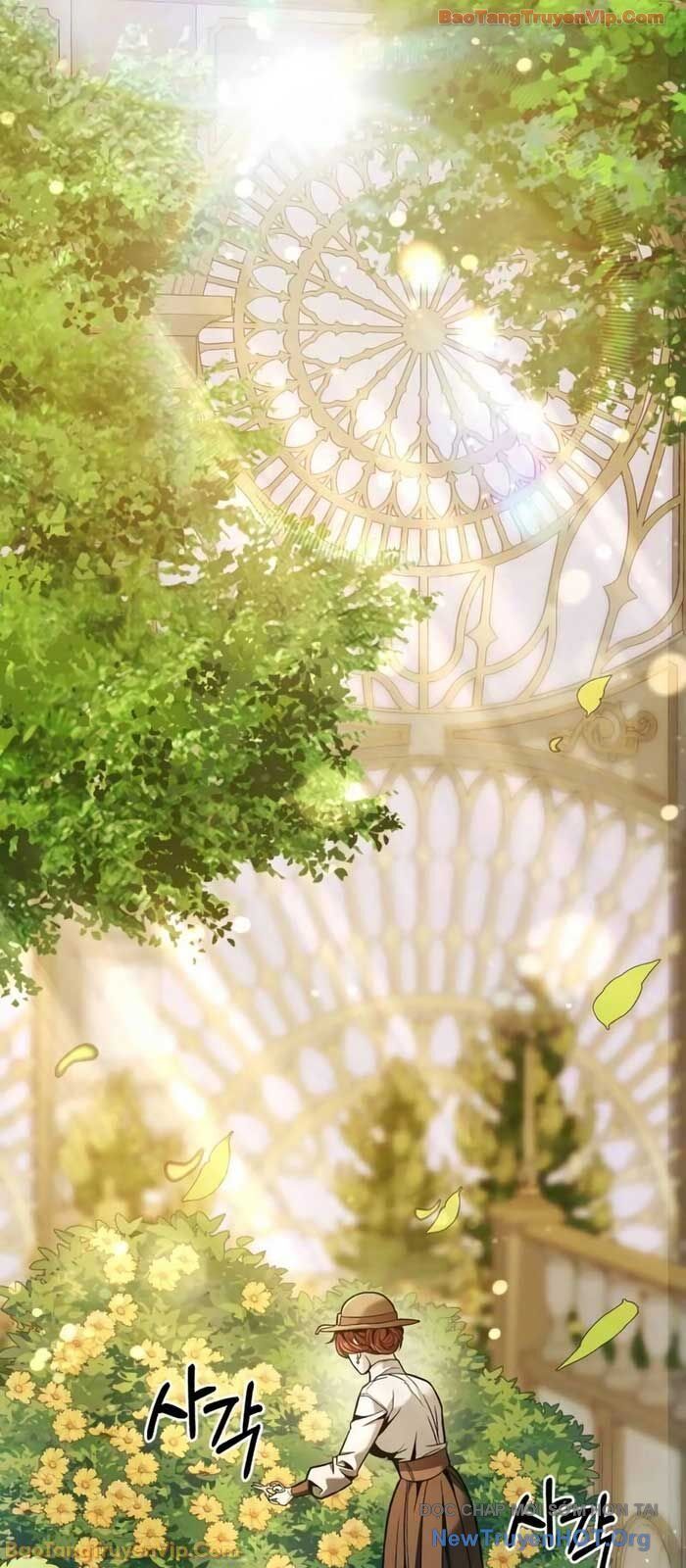 Cuộc Sống Tái Sinh Của Pháp Sư Hẻm Tối Chap 8 - Next Chap 9