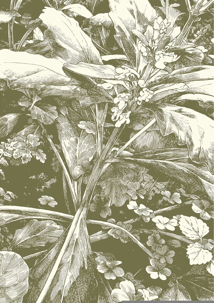 Cuộc Sống Tí Hon Trong Rừng Sâu. Chap 63 - Next Chap 64