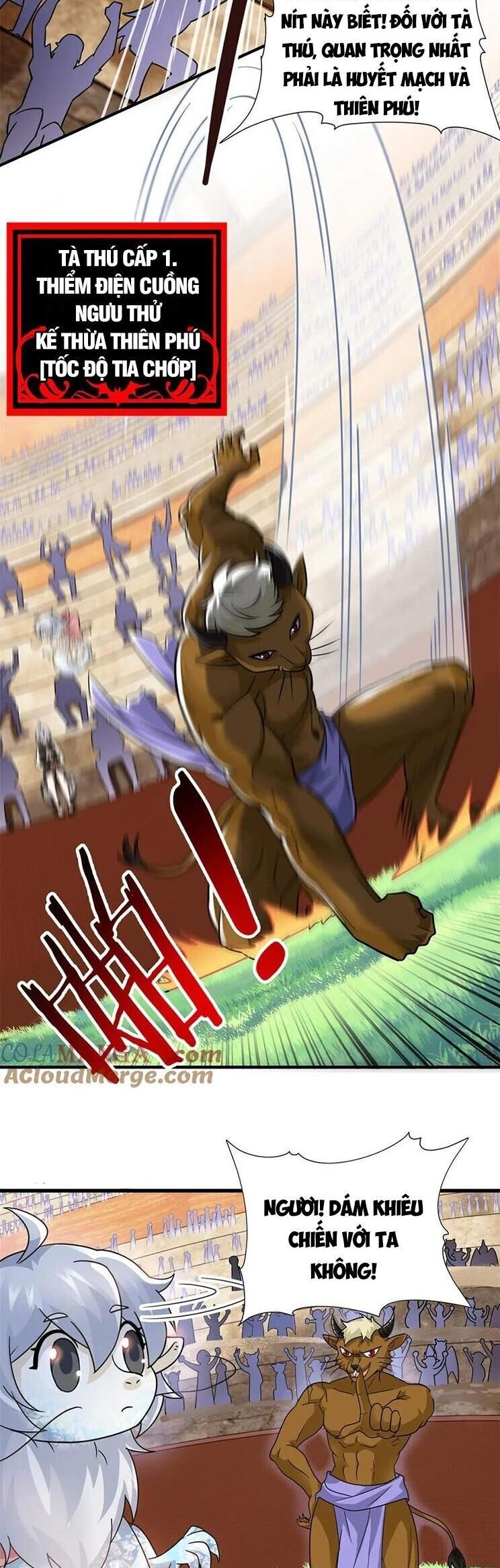 Cường Giả Đến Từ Trại Tâm Thần Chap 333 - Next Chap 334