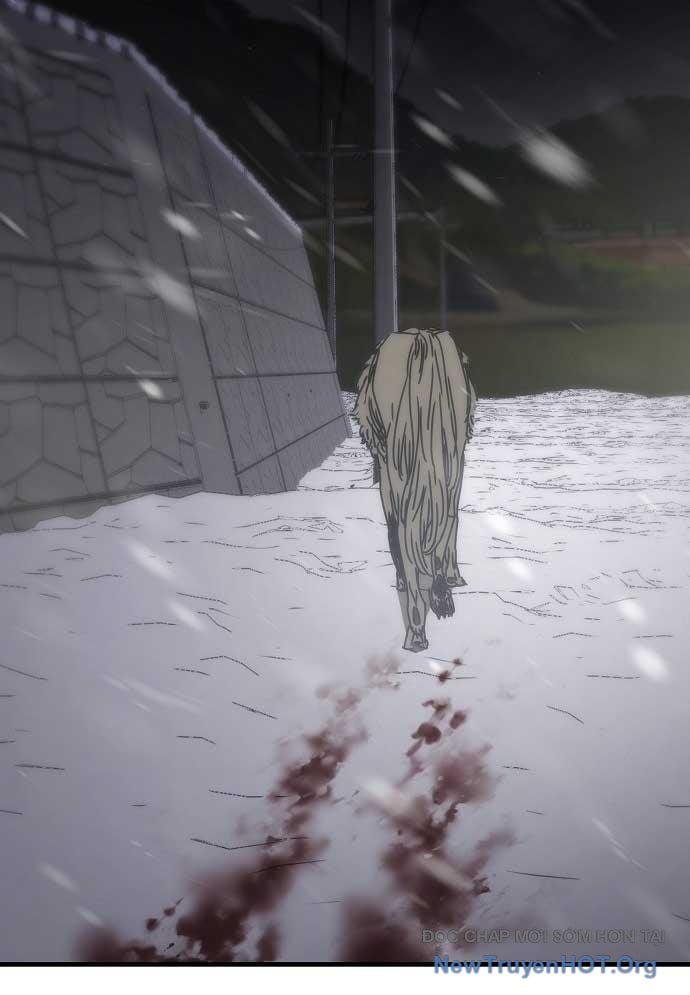 D-Day: Hầm Trú Ẩn Chap 41 - Next Chap 42