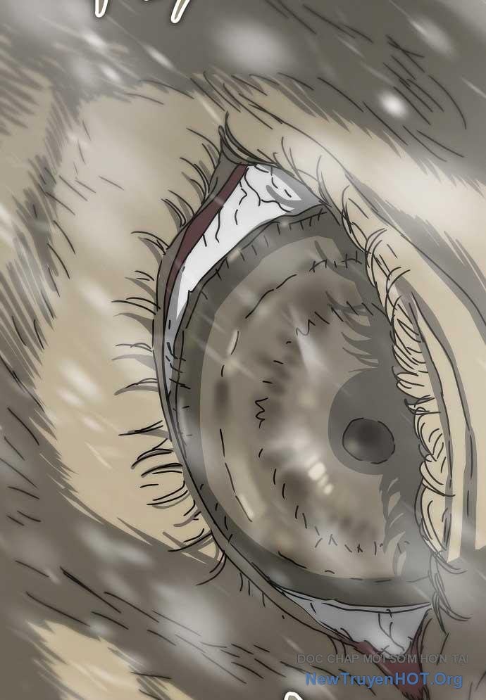 D-Day: Hầm Trú Ẩn Chap 41 - Next Chap 42