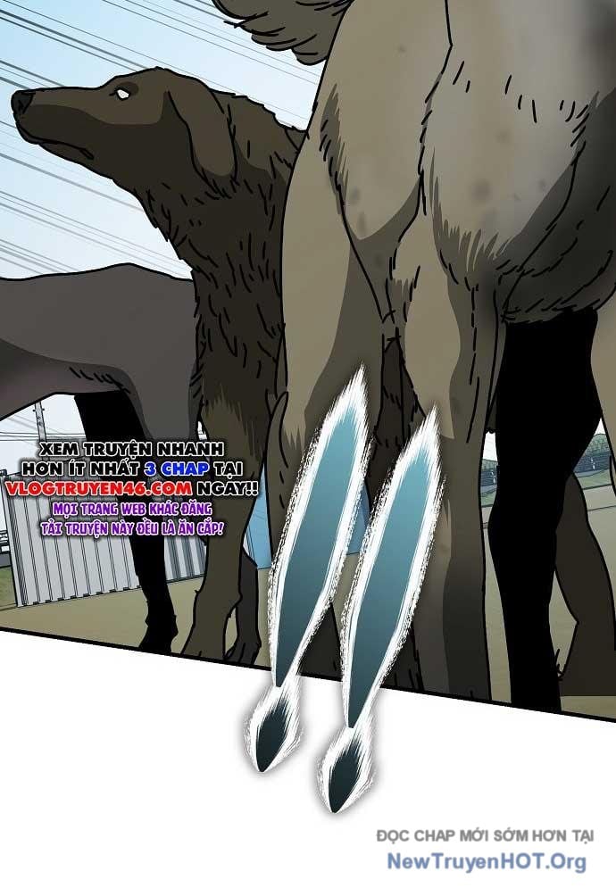 D-Day: Hầm Trú Ẩn Chap 43 - Next Chap 44