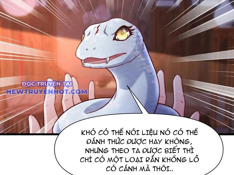 Đạo Hữu, Kịch Bản Của Ngươi Thật Dễ Nhìn! Chap 102 - Next Chap 103
