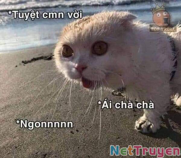 Dị Giới Thất Cách Chap 21 - Next Chap 22