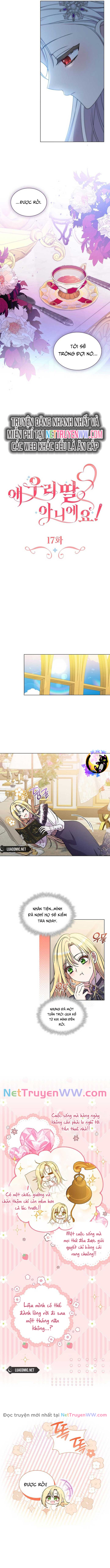 Đó Không Phải Con Gái Chúng Ta Chap 17 - Next Chap 18