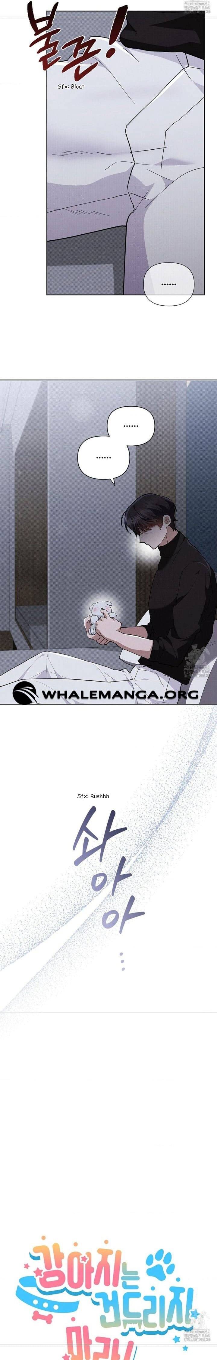 Đừng Đùa Với Cún Con Chap 31 - Next Chap 32