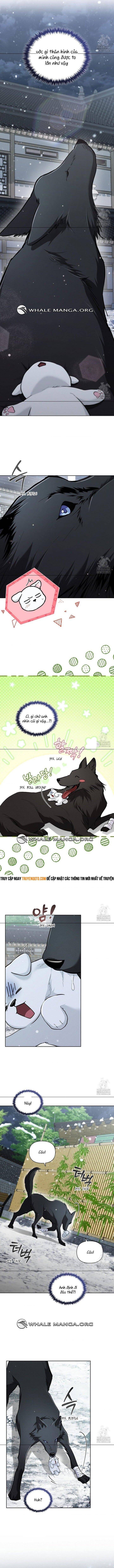 Đừng Đùa Với Cún Con Chap 34 - Next Chap 35