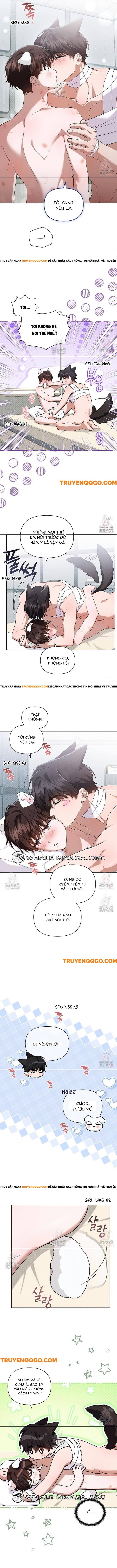 Đừng Đùa Với Cún Con Chap 43 - Next Chap 44