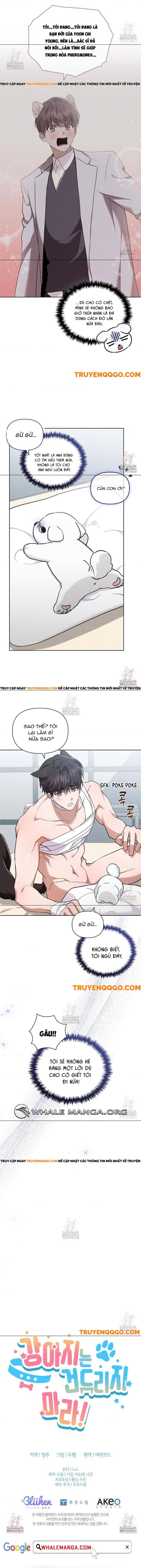 Đừng Đùa Với Cún Con Chap 43 - Next Chap 44