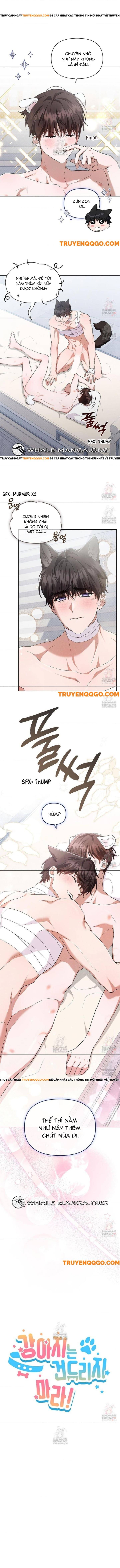 Đừng Đùa Với Cún Con Chap 43 - Next Chap 44