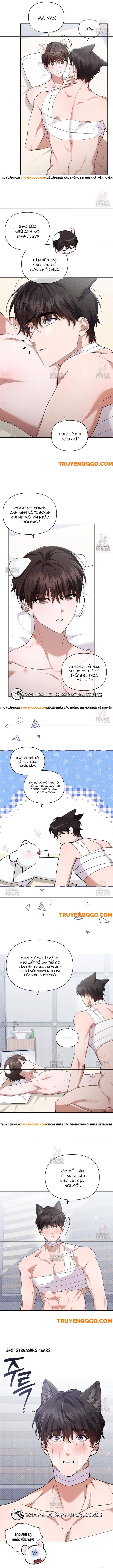 Đừng Đùa Với Cún Con Chap 43 - Next Chap 44