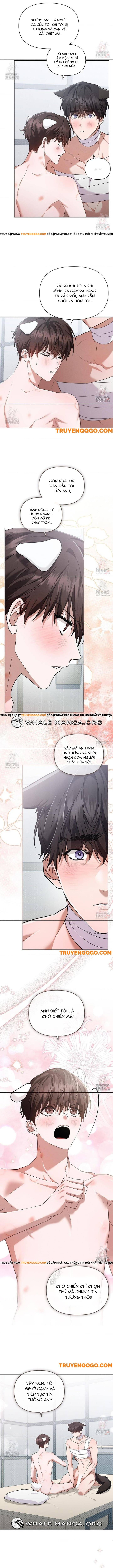 Đừng Đùa Với Cún Con Chap 43 - Next Chap 44