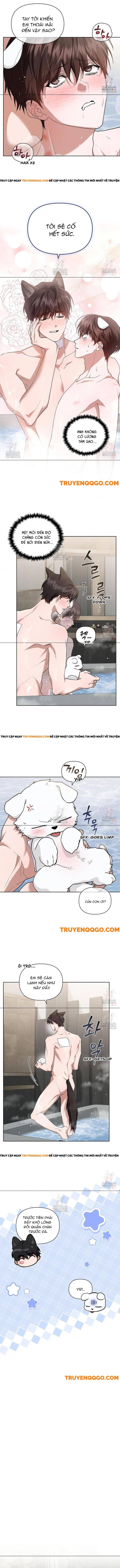Đừng Đùa Với Cún Con Chap 44 - Next Chap 45