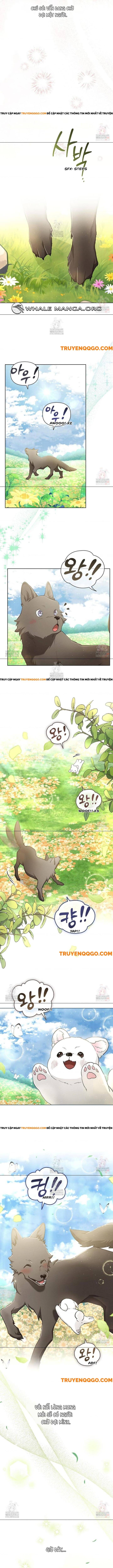 Đừng Đùa Với Cún Con Chap 44 - Next Chap 45