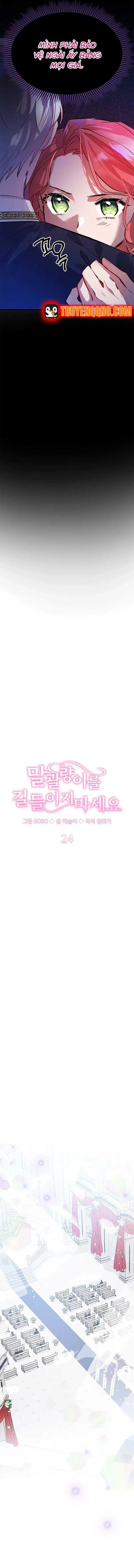 Đừng Thuần Hóa Cô Nàng Đanh Đá Chap 24 - Next Chap 25