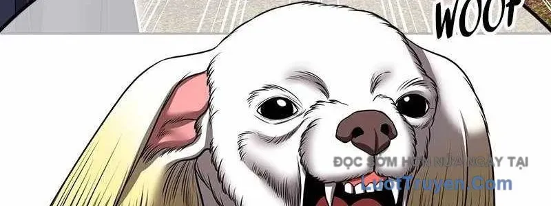 Gậy Gỗ Cấp 99+ Chap 163 - Next Chap 164