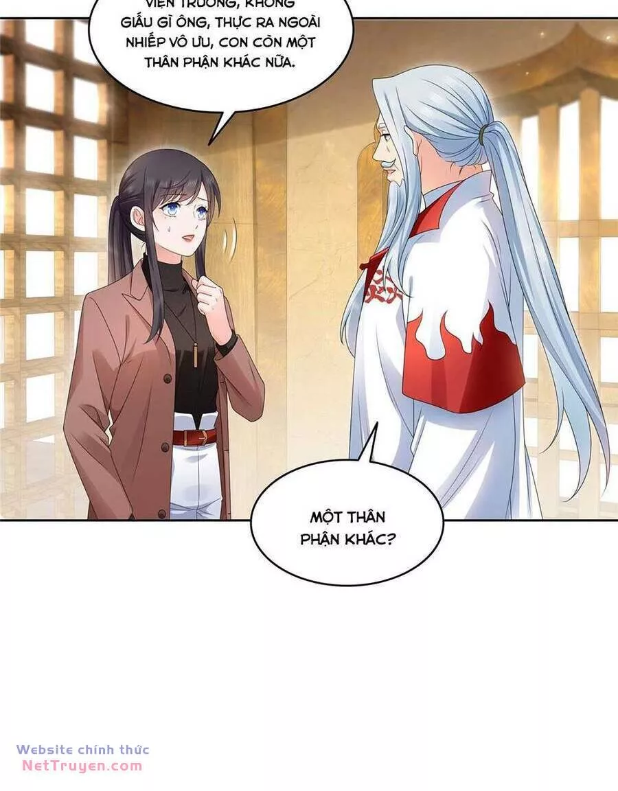 Hệt Như Hàn Quang Gặp Nắng Gắt Chap 539 - Next Chap 540