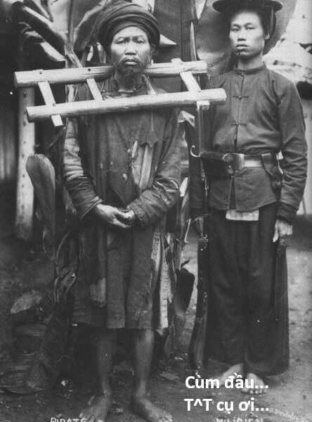 Hổ Đến Chơi Nhà (Puchimasu Miếu) Chap 148 - Next Chap 149