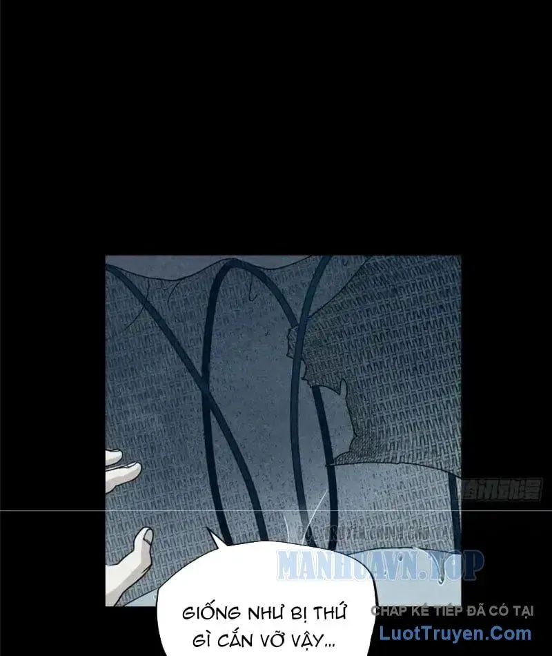 Hóa Ra Ta Là Đời Sau Của Yêu Quái Chap 73 - Next Chap 74