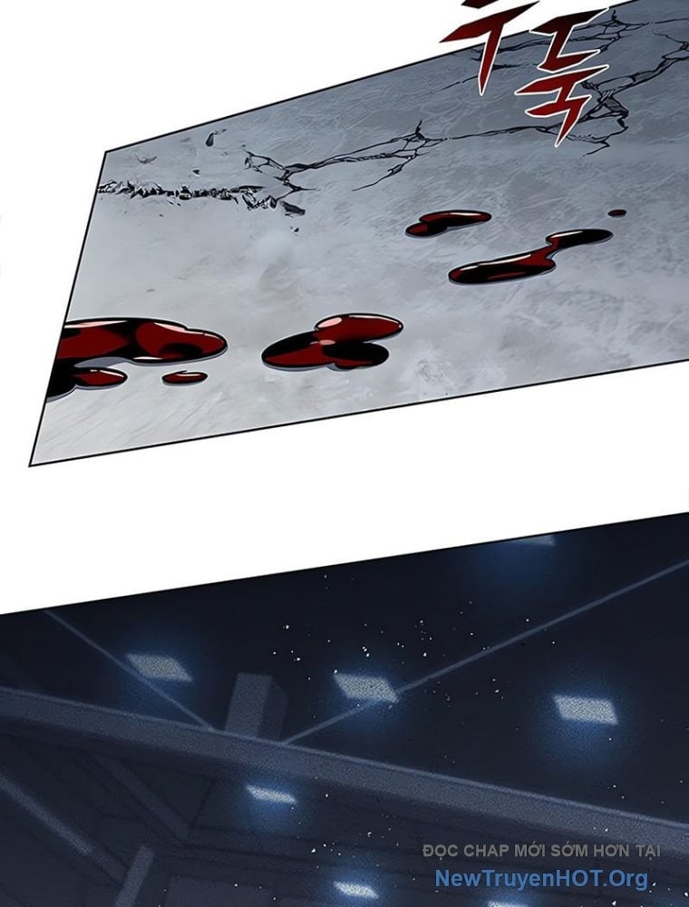 Hóa Thân Thành Mèo Chap 361 - Next Chap 362