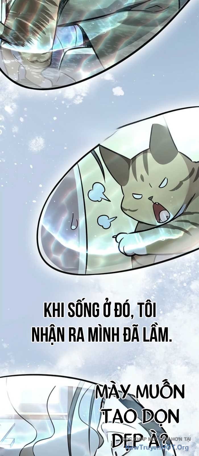 Hóa Thân Thành Mèo Chap 368 - Next Chap 369