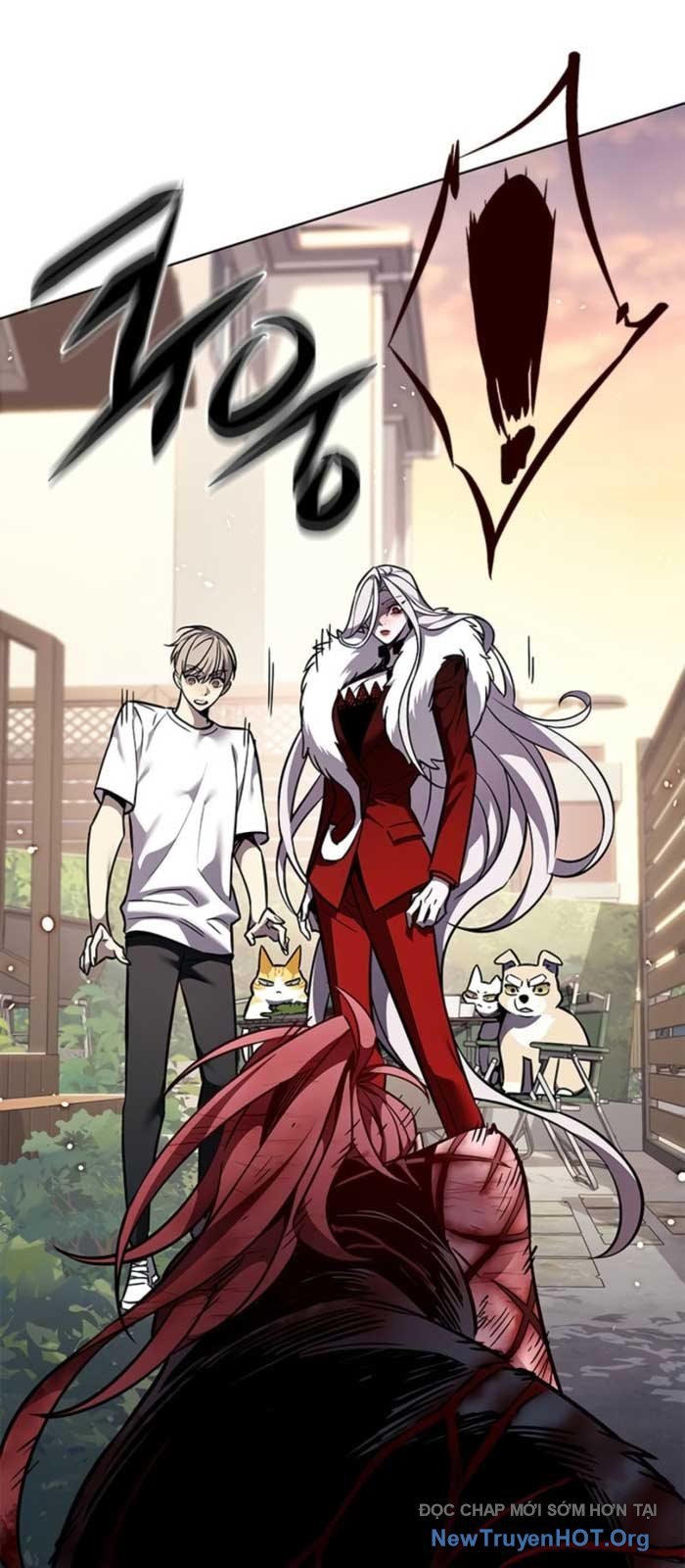 Hóa Thân Thành Mèo Chap 368 - Next Chap 369