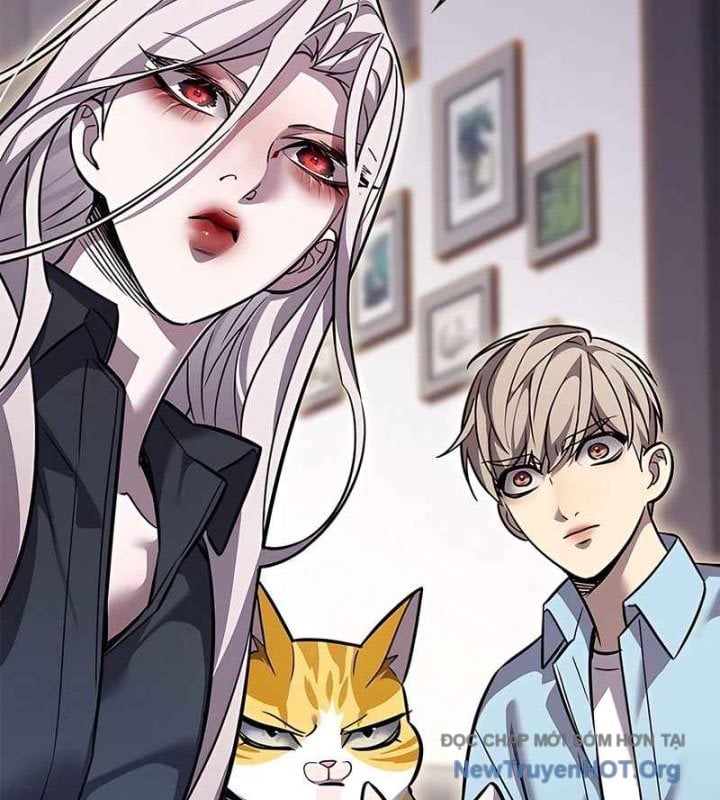 Hóa Thân Thành Mèo Chap 370 - Next Chap 371