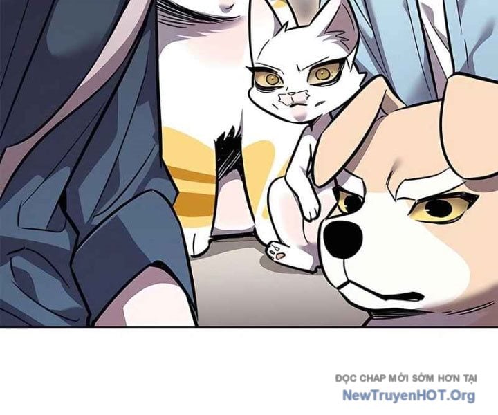 Hóa Thân Thành Mèo Chap 370 - Next Chap 371