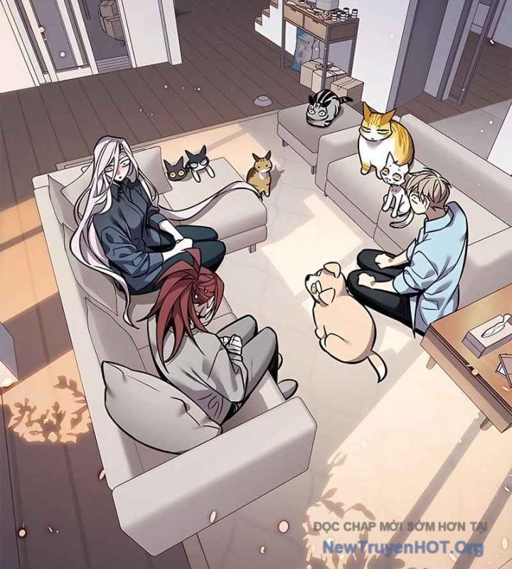 Hóa Thân Thành Mèo Chap 370 - Next Chap 371