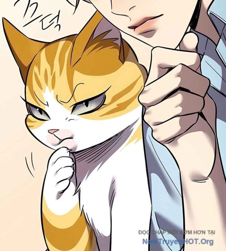 Hóa Thân Thành Mèo Chap 370 - Next Chap 371