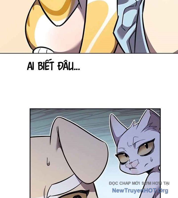 Hóa Thân Thành Mèo Chap 370 - Next Chap 371