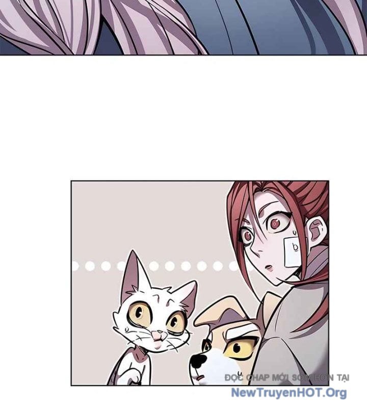 Hóa Thân Thành Mèo Chap 370 - Next Chap 371