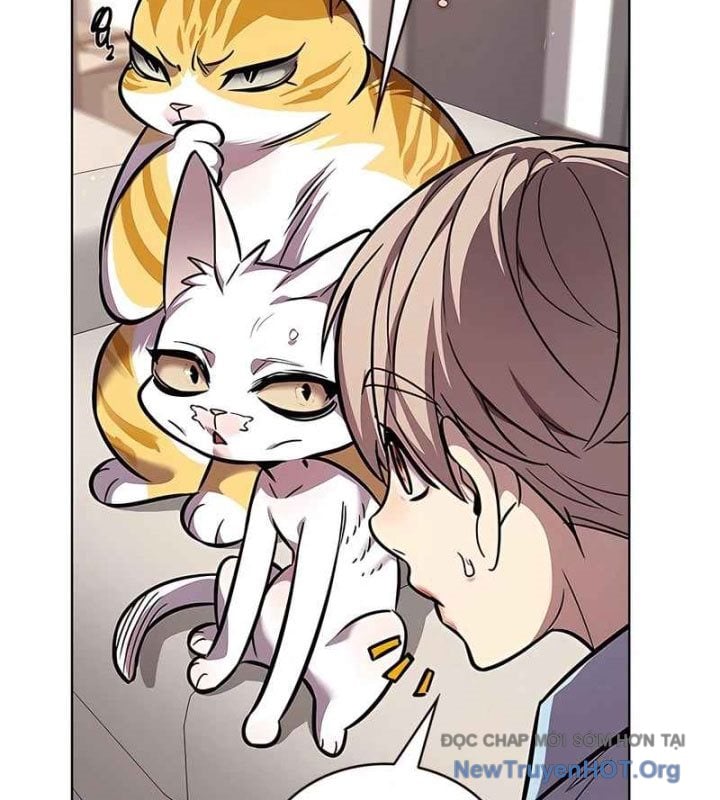 Hóa Thân Thành Mèo Chap 370 - Next Chap 371