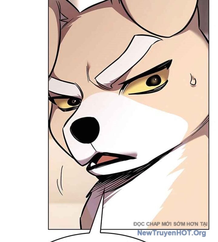 Hóa Thân Thành Mèo Chap 370 - Next Chap 371