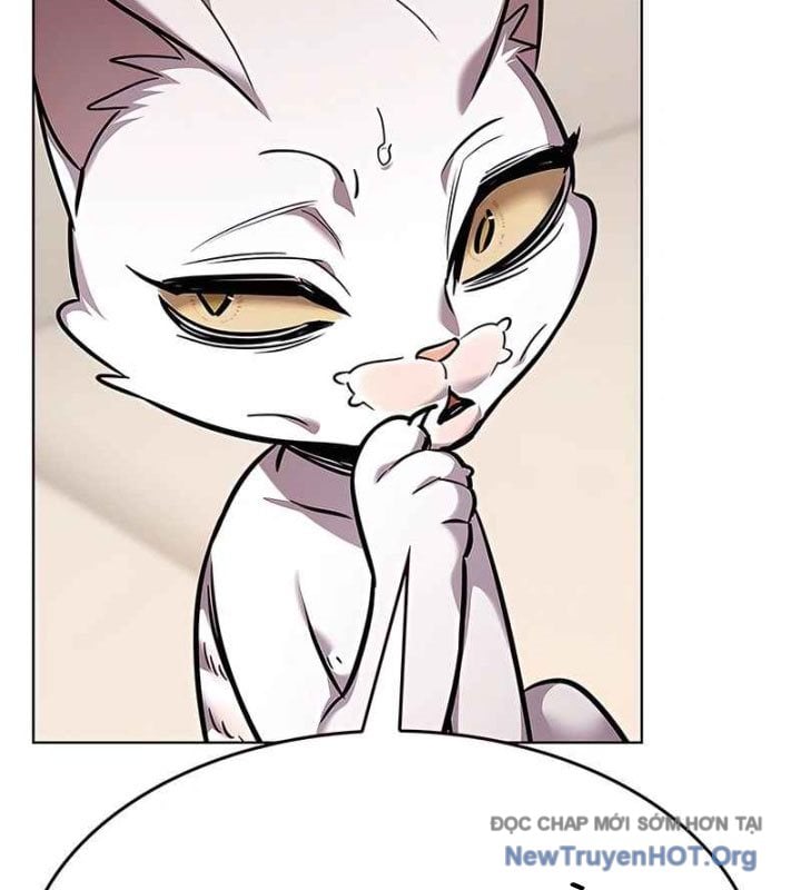 Hóa Thân Thành Mèo Chap 370 - Next Chap 371