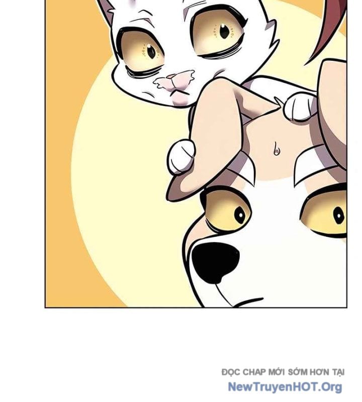 Hóa Thân Thành Mèo Chap 370 - Next Chap 371