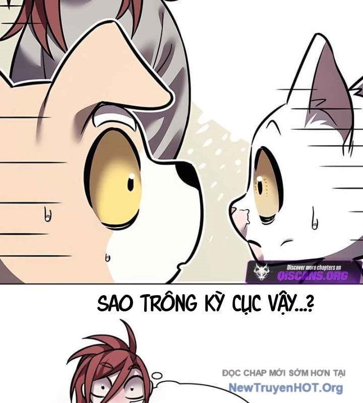 Hóa Thân Thành Mèo Chap 370 - Next Chap 371