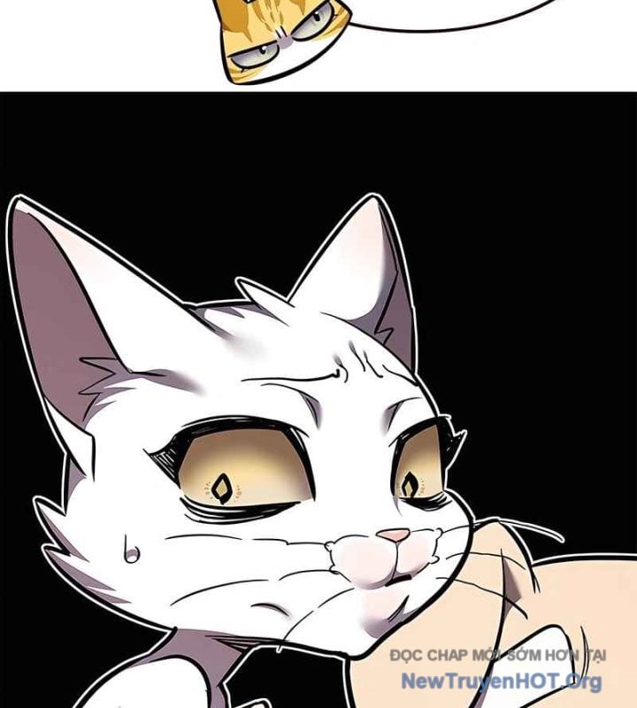 Hóa Thân Thành Mèo Chap 370 - Next Chap 371