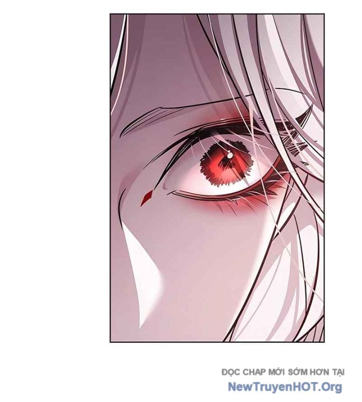 Hóa Thân Thành Mèo Chap 370 - Next Chap 371