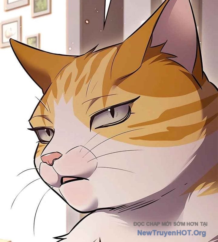 Hóa Thân Thành Mèo Chap 370 - Next Chap 371