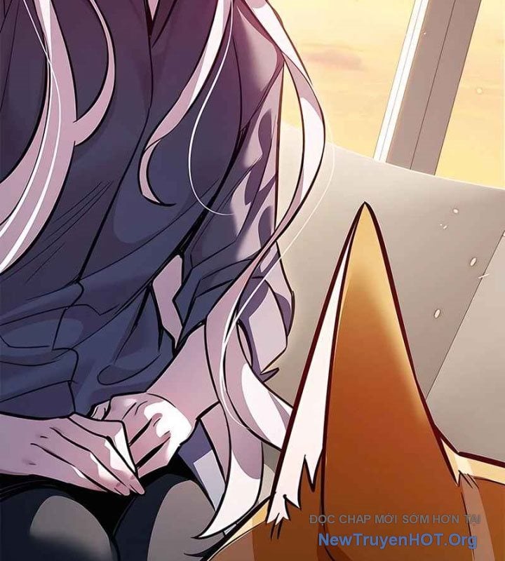 Hóa Thân Thành Mèo Chap 370 - Next Chap 371