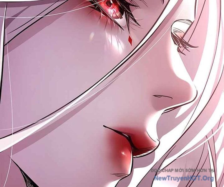 Hóa Thân Thành Mèo Chap 370 - Next Chap 371