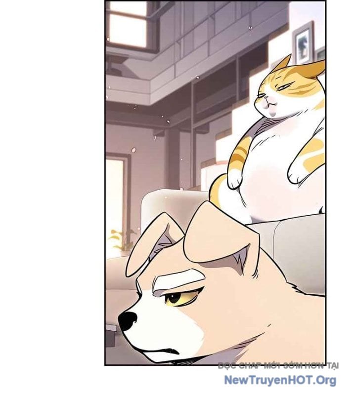 Hóa Thân Thành Mèo Chap 370 - Next Chap 371