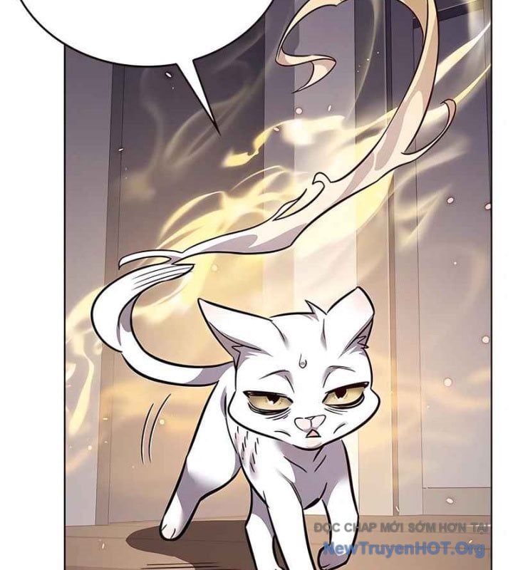Hóa Thân Thành Mèo Chap 370 - Next Chap 371